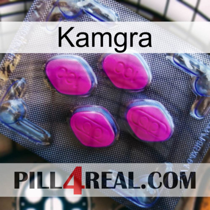Kamgra 02